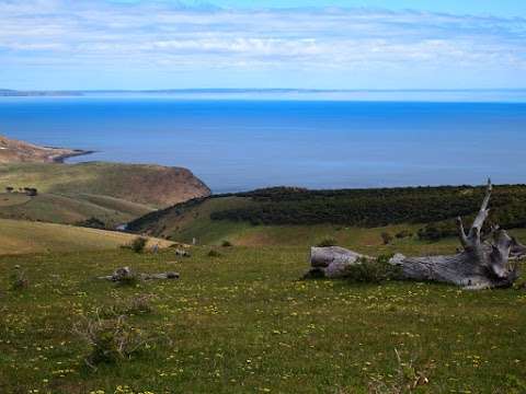 Photo: Starfish Hill Windfarm